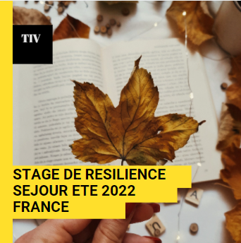 resilience 7